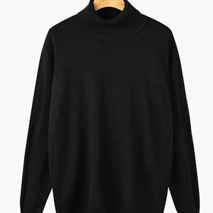 Melbourne Lightweight Turtleneck Sweater